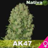 Nativa Seeds AK 47