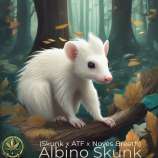 Noyes Boys Genetics Albino Skunk
