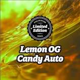 Philosopher Seeds Lemon OG Candy Auto