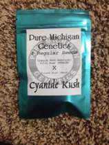Pure Michigan Genetics Cyanide Kush