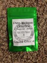 Pure Michigan Genetics Gouda Cheese
