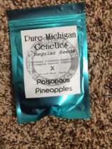 Pure Michigan Genetics Poisonous Pineapples