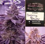 Relentless Genetics Cherry Driver