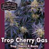 Relentless Genetics Trop Cherry Gas