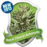 Royal Cheese Automatic