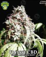 Seattle Chronic Seeds Finesse CBD