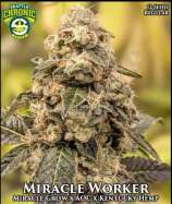 Seattle Chronic Seeds Miracle Worker