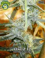 Seattle Chronic Seeds One Z