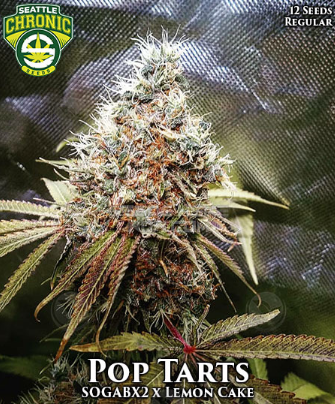 Pop Tarts (Seattle Chronic Seeds) :: Cannabis Strain Info