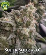 Seattle Chronic Seeds Super Sour MAC