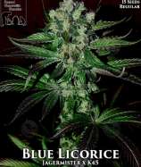 Second Generation Genetics Blue Licorice