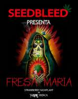 Seedbleed Fresa Maria