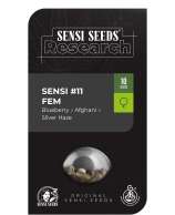 Sensi Seeds Sensi #11