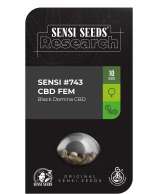 Sensi Seeds Sensi #743 CBD