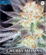 Sin City Seeds Chubby Melon