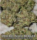 Skunk House Genetics Double Solo Burger