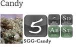 Stoney Girl Gardens Candy