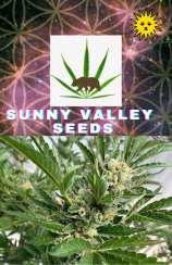Sunny Valley Seed Co Hyphy Juice