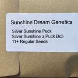 Sunshine Dream Genetics Silver Sunshine Puck