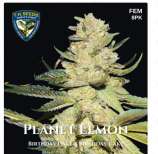 TH Seeds Planet Lemon 710