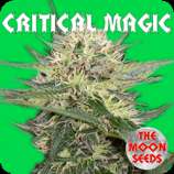 The Moon Seeds Critical Magic