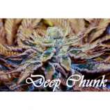 Therapy Seeds Deep Chunk