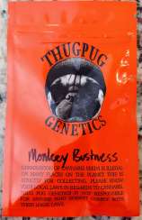 ThugPug Genetics Monkey Business