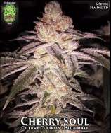 Trichome Jungle Seeds Cherry Soul