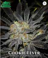 True Canna Genetics Cookie Fever