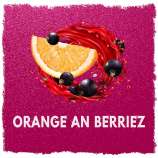 Universally Seeded Orange an Berriez