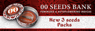 00 Seeds - Feminized & Autoflowering Indicas