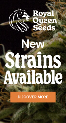 Free seeds in all orders