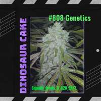 808 Genetics Dinosaur Cake - photo made by SquallyGrowzit