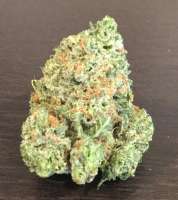 Picture from Hondo13 (Platinum Tiger Cookies)