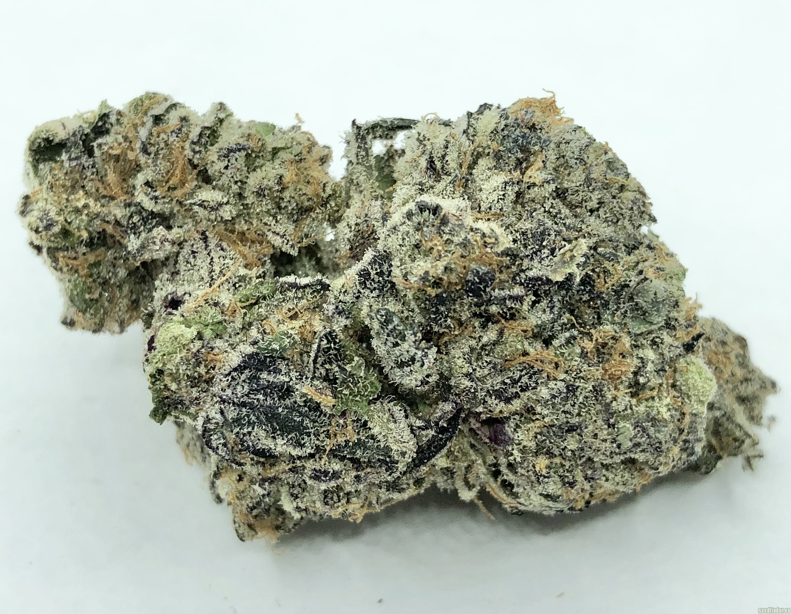 Hot Marijuana Strain of the Week: Do-Si-Dos Puts New Spin on Cookies'  Essence