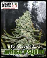 Clone Only Strains Psychosis - photo made by Londoncitygenetics