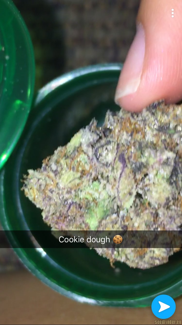 Featured image of post How to Make Cookie Dough Strain