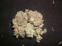 Picture from Kirschkern (Kens Kush)