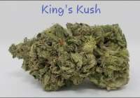 Picture from TheHappyChameleon (Kings Kush)