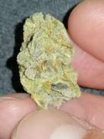 Picture from BudBro (TrainWreck)