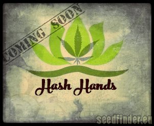 Hash Hands Monkey's Paw