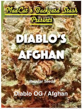 MadCat's Backyard Stash Diablo's Afghan