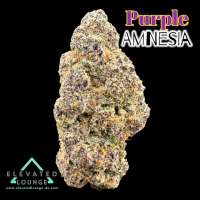 Short Stuff Seedbank Auto Purple Amnesia - photo made by ElevatedLoungeDC