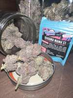 Solfire Gardens Bahama Mama - photo made by TherapeuticGrower