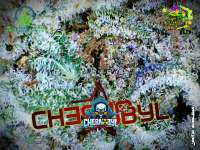 SubCool’s The Dank Chernobyl - photo made by Justin108