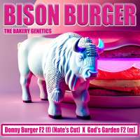 The Bakery Genetics Bison Burger - photo made by TheBakeryGenetics