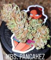 The Bakery Genetics Mrs. Pancakez - photo made by TheBakeryGenetics