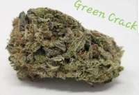 Picture from TheHappyChameleon (Green Crack)