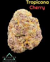 Picture from ElevatedLoungeDC (Tropical Cherry)