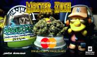 Picture from Justin108 (Master Kush)